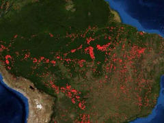 Brnde im Amazonas-Regenwald, August 2019 - Grafik: NASA - gemeinfrei