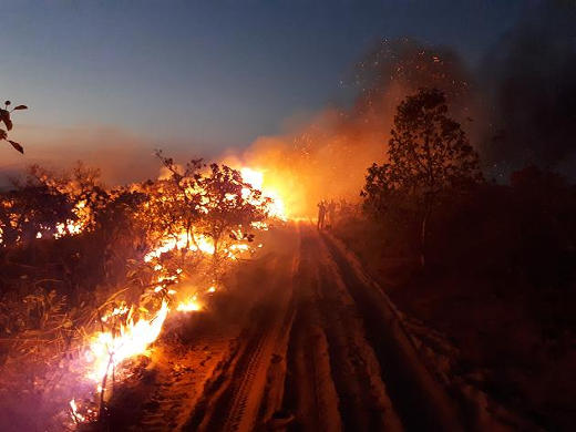 Brände im Amazonas-Regenwald, August 2019, entlang einer Straße - Foto: Chico-Mendes-Institut -  Creative-Commons-Lizenz Namensnennung Nicht-Kommerziell 3.0