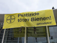 Greenpeace-Protest vor BAYER-Zentrale