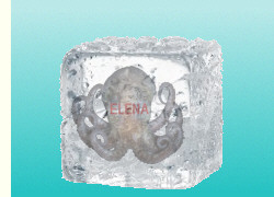 Daten-Krake ELENA eingefroren