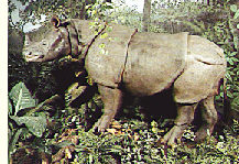 Java-Nashorn