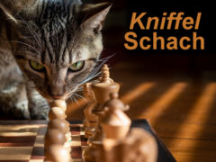Kniffel-Schach - Grafik: Samy auf Grundlage von Foto von: Rickjbrown - Creative-Commons-Lizenz Namensnennung Nicht-Kommerziell 3.0