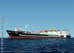 deutscher Super-Trawler Maartje Theadora
