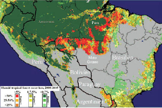 Regenwaldvernichtung Südamerika nach Satelliten-Fotos