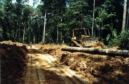 Vernichtung von Tropenwäldern